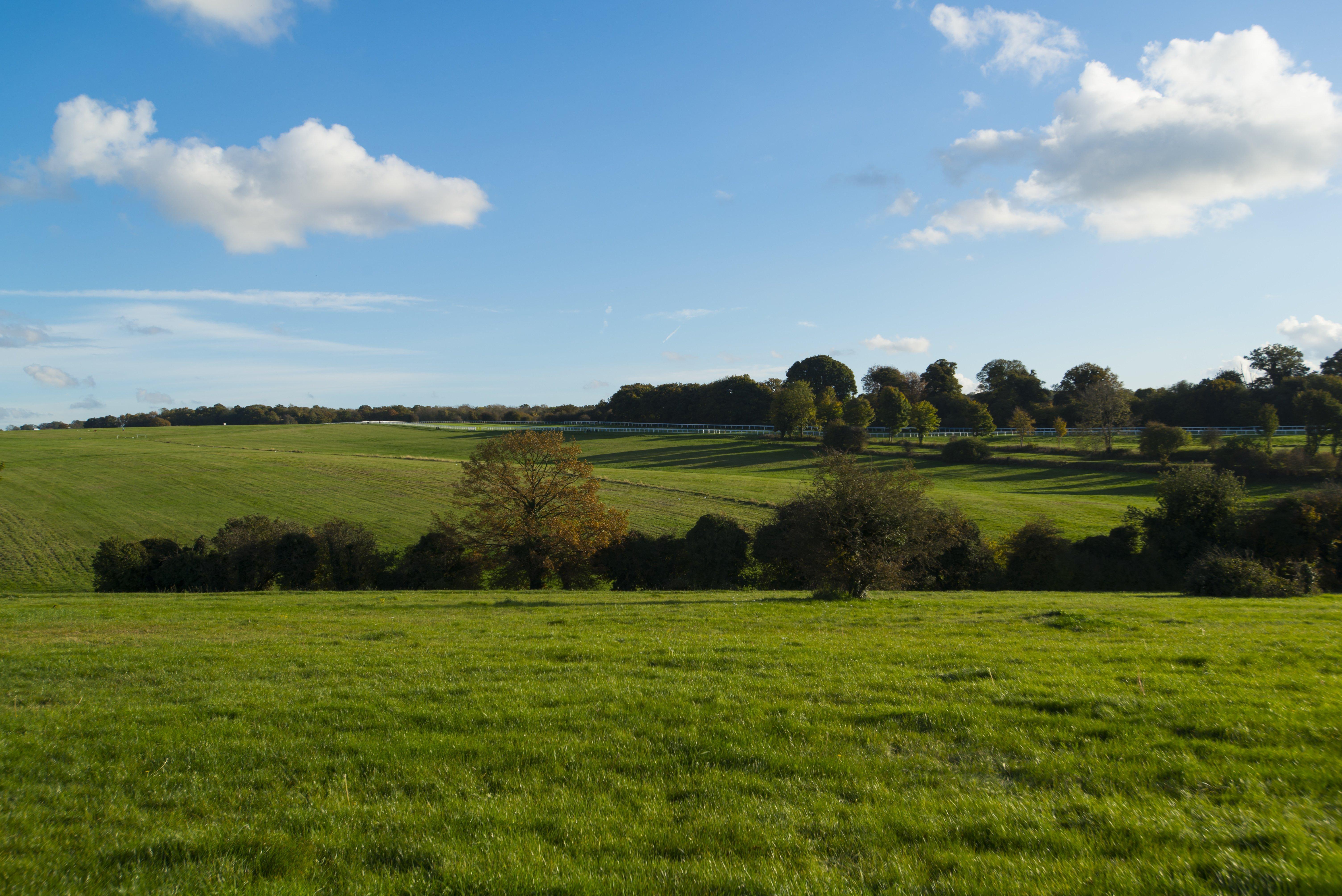 Holiday Inn Express London - Epsom Downs By Ihg Exterior foto
